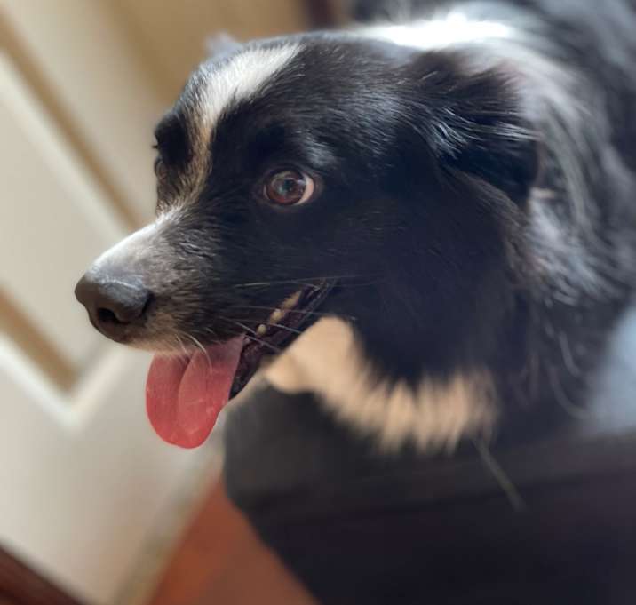 Photo of Patton