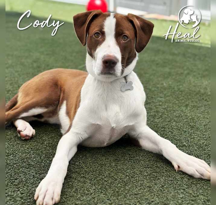 Photo of Cody