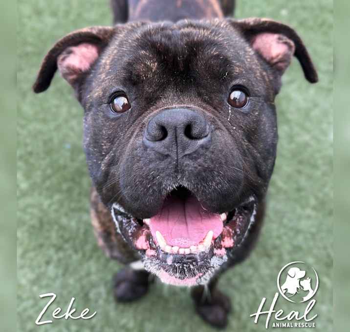 Photo of Zeke