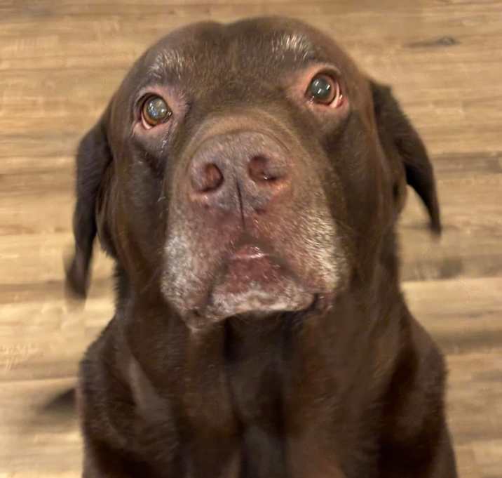 Photo of Zeus
