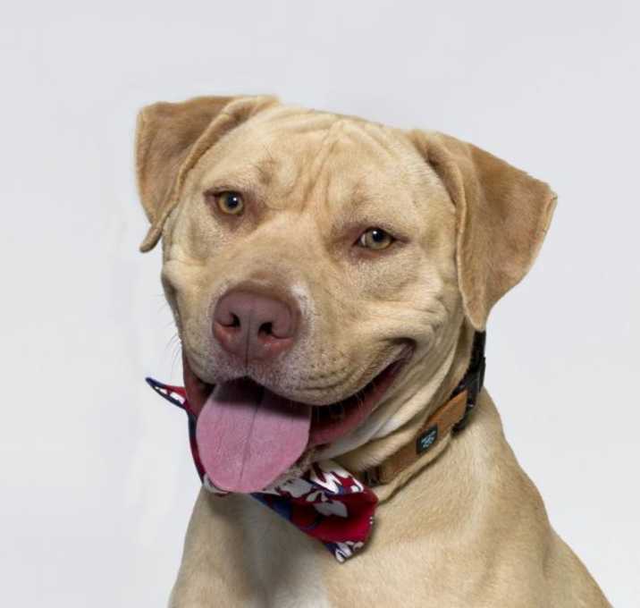 Photo of BILLY