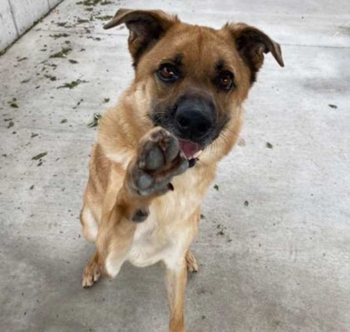 Photo of Buttons