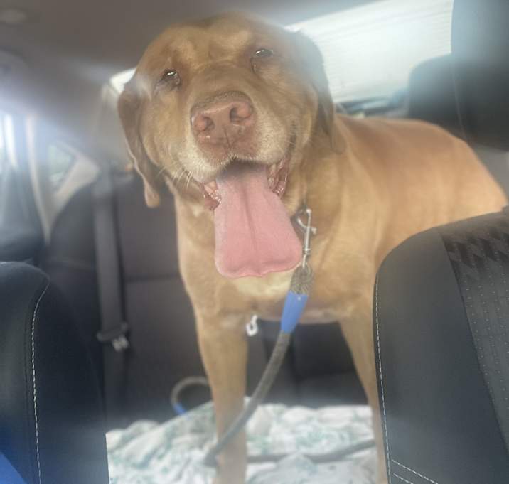 Photo of Zeus