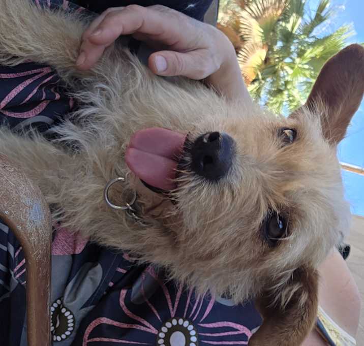 Photo of Mimi