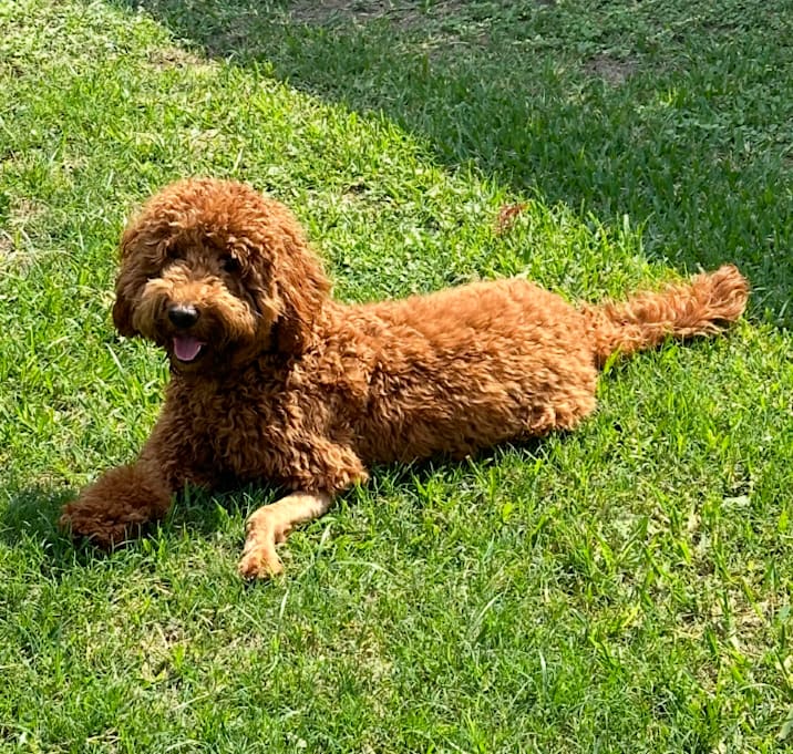 Photo of Nelly