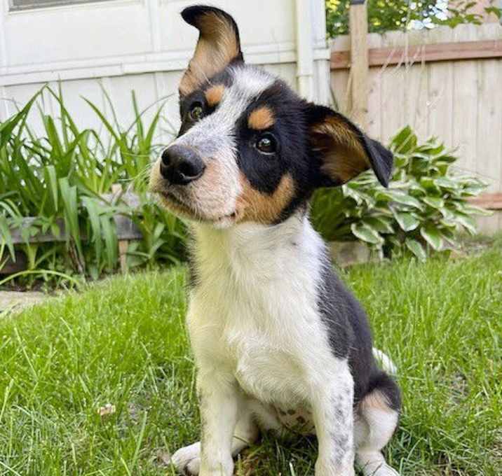 Photo of **FRANCES**