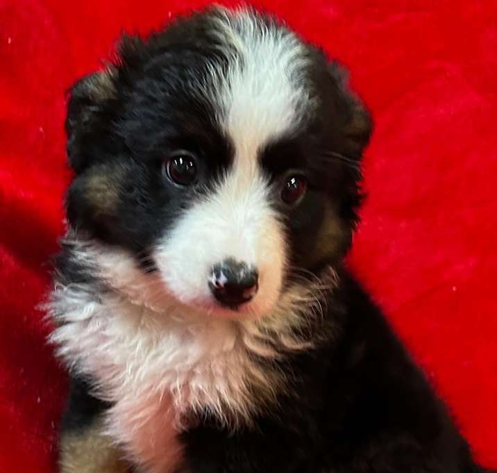 Photo of Gia