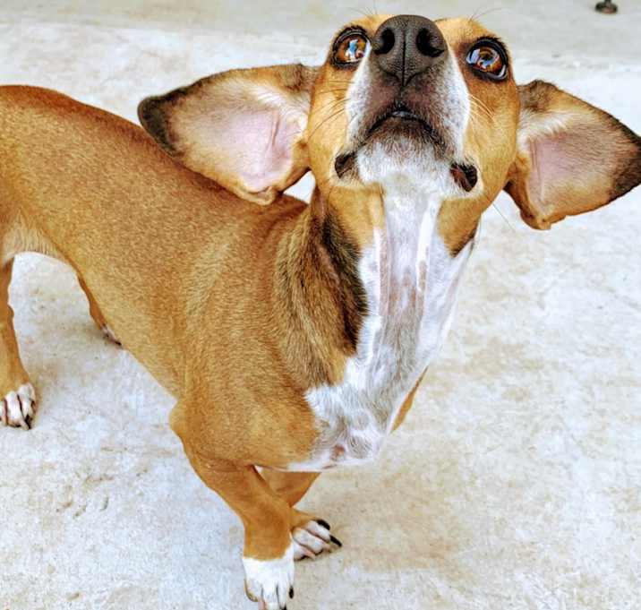 Photo of Sugar