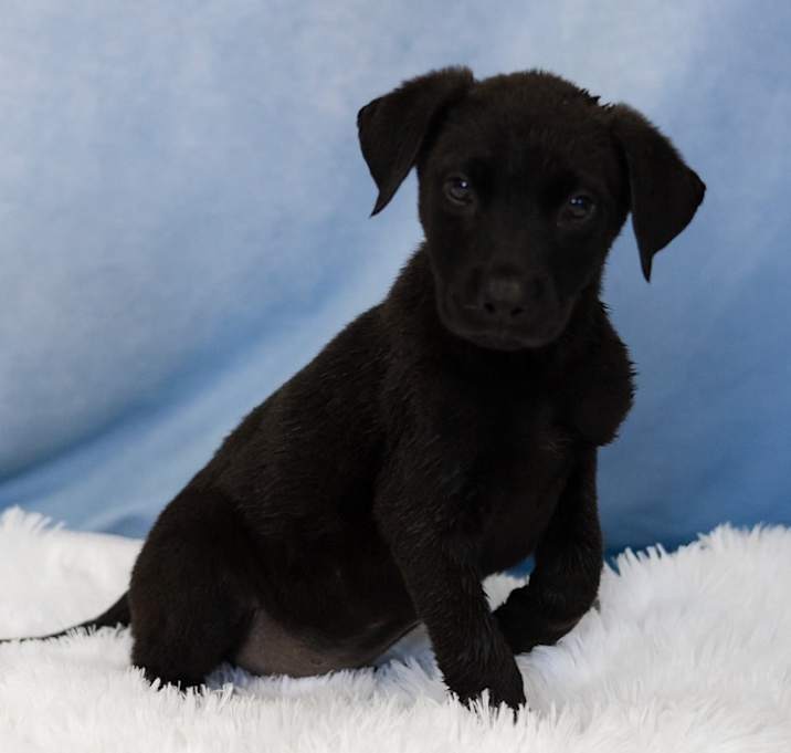 Photo of Aspen