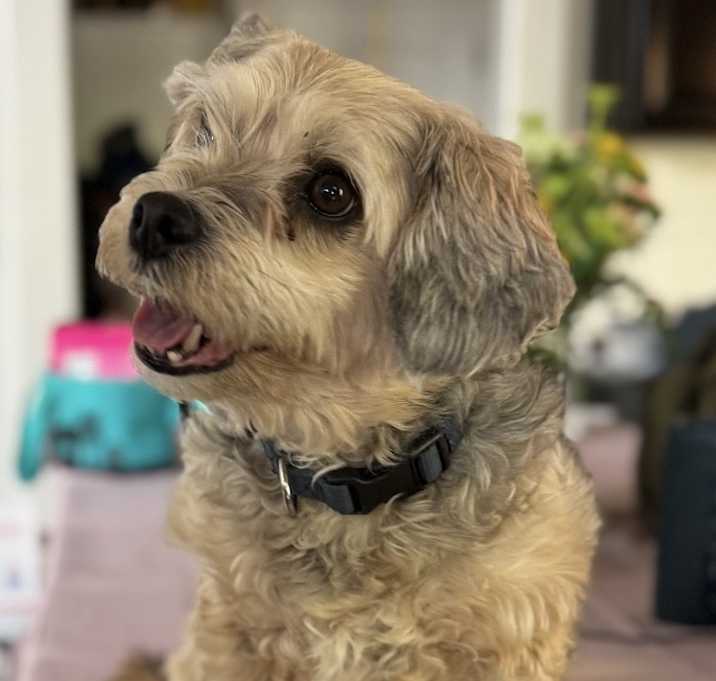 Photo of Moss