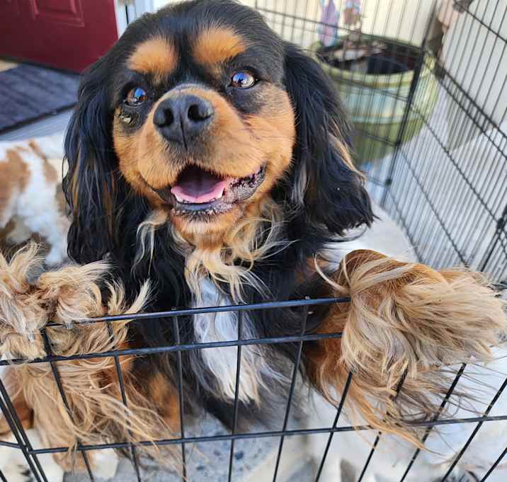 Photo of Quincy