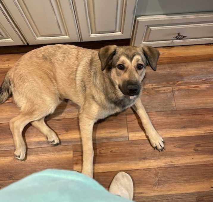 Photo of Tilly