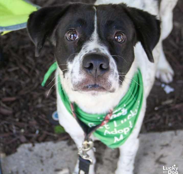 Photo of Lucy