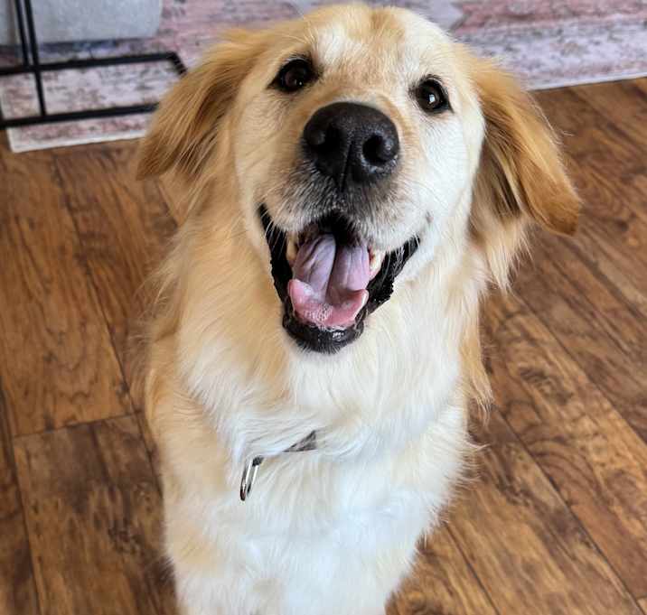 Chance Photo #3