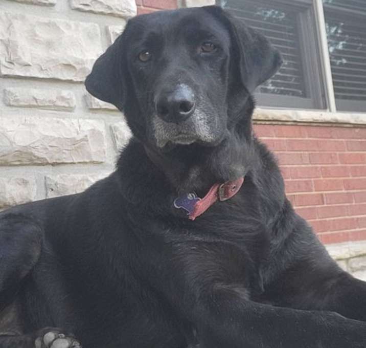 Photo of Sweetie