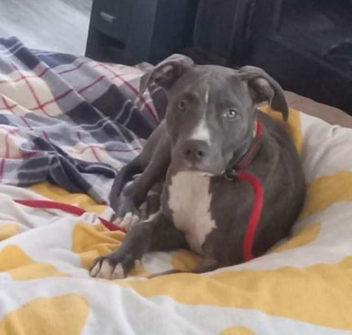 Photo of Winston
