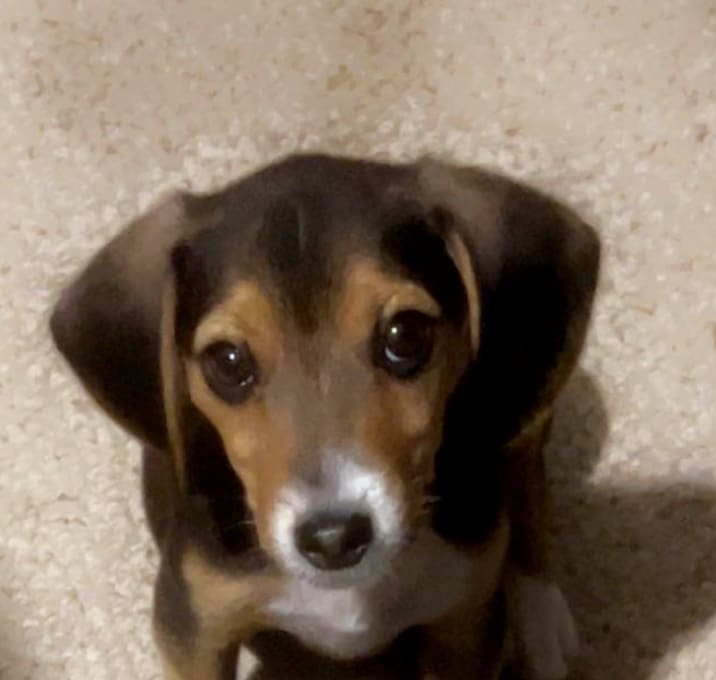 Photo of STITCH 