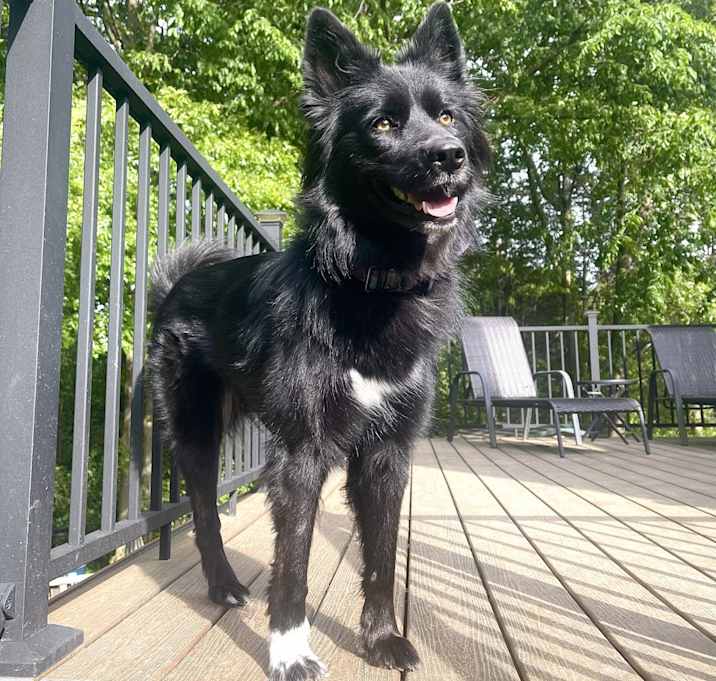 Photo of Zera