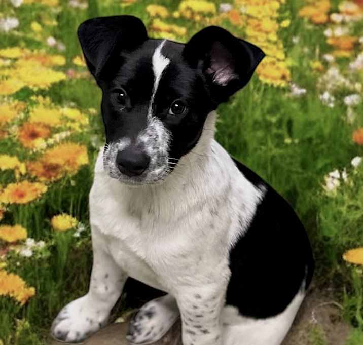 Photo of Neo