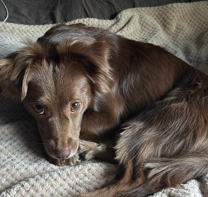 Photo of Coco