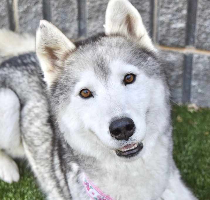 Photo of Mitah - ECAS