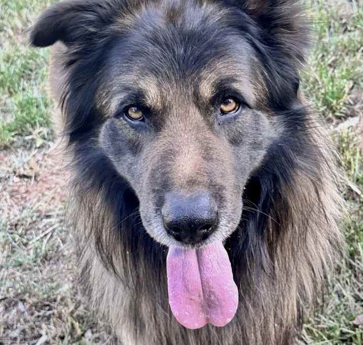 Photo of Max