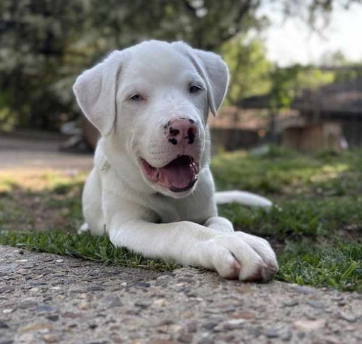 Photo of Olaf