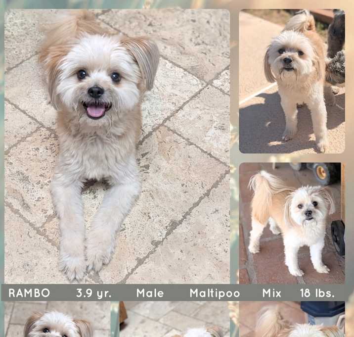 Photo of RAMBO