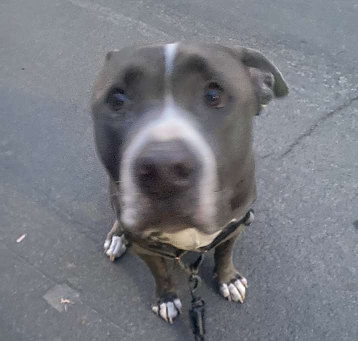 Photo of Tyson