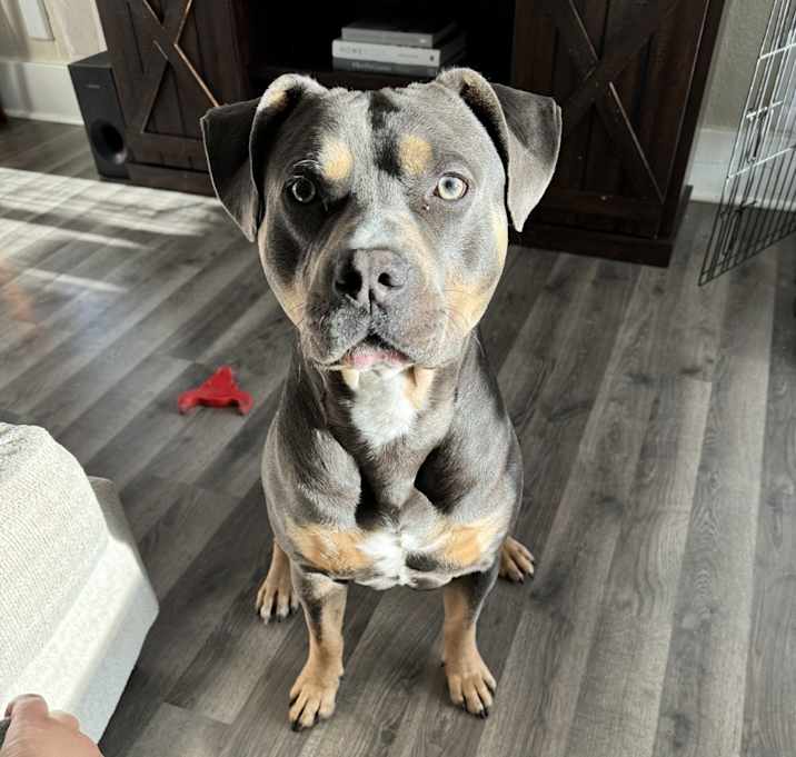 Photo of Magnus
