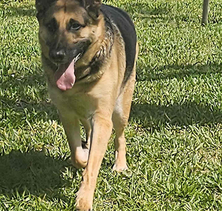 Photo of APOLLO