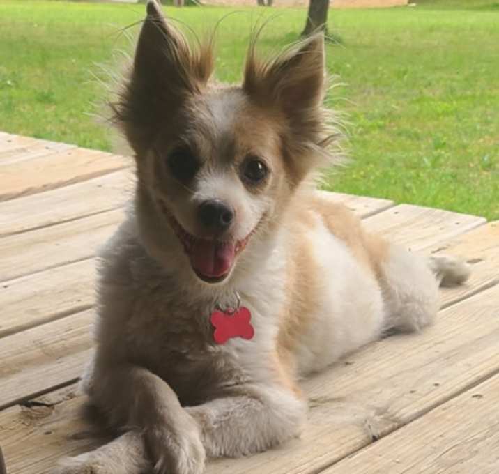 Photo of Jack Benjy