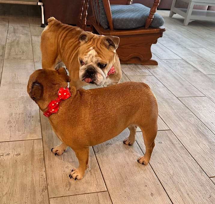 Photo of Lucy