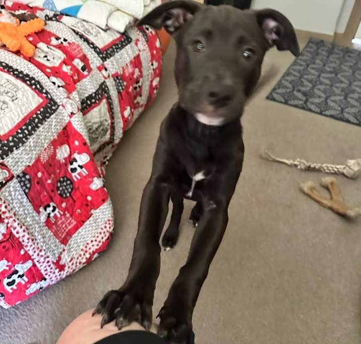 Photo of Hope