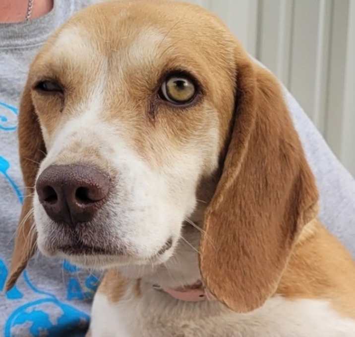Photo of Luci