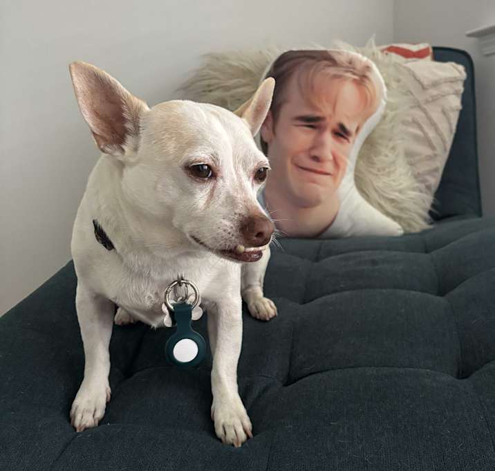 Photo of Zeke