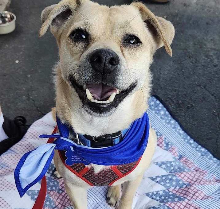 Photo of Cooper