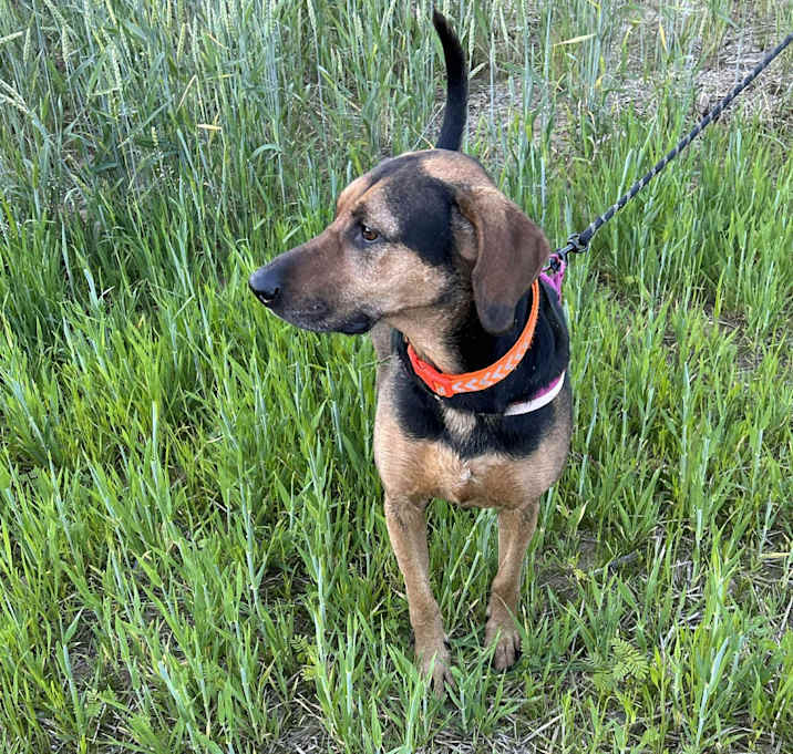 Photo of Roxy
