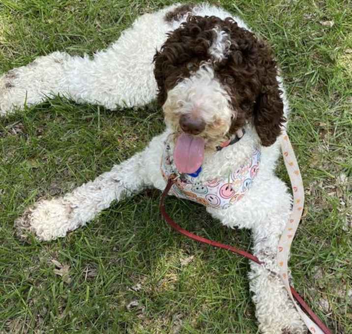 Photo of Thora