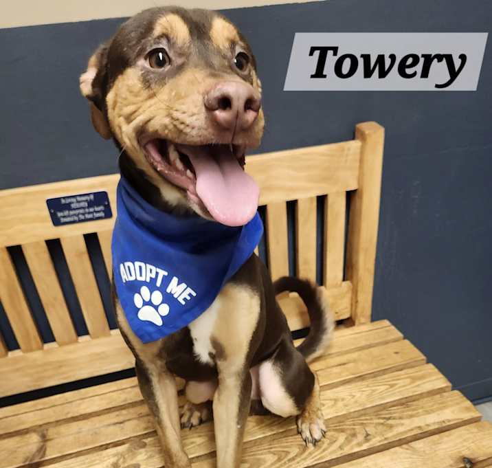 Photo of Towery