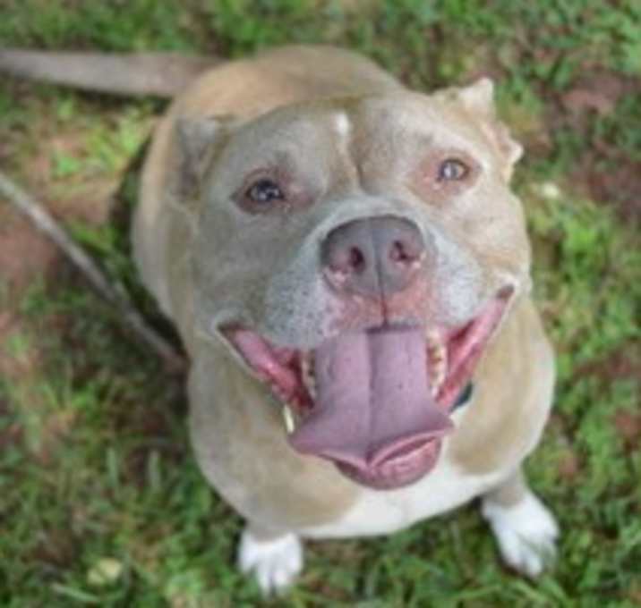 Photo of Indy