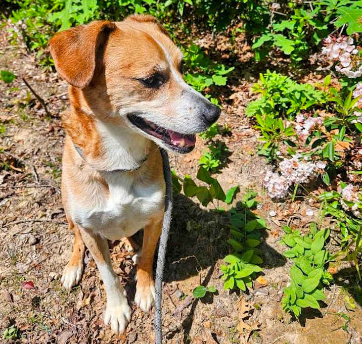 Photo of Zephyr