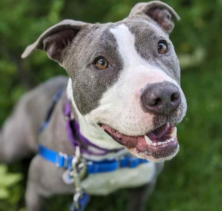 Photo of Nala J