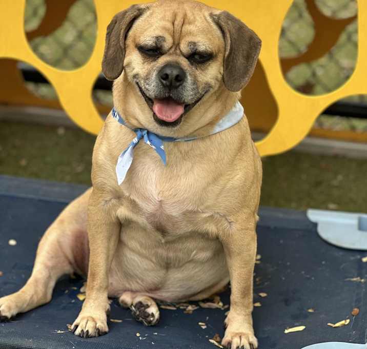 Photo of Tank