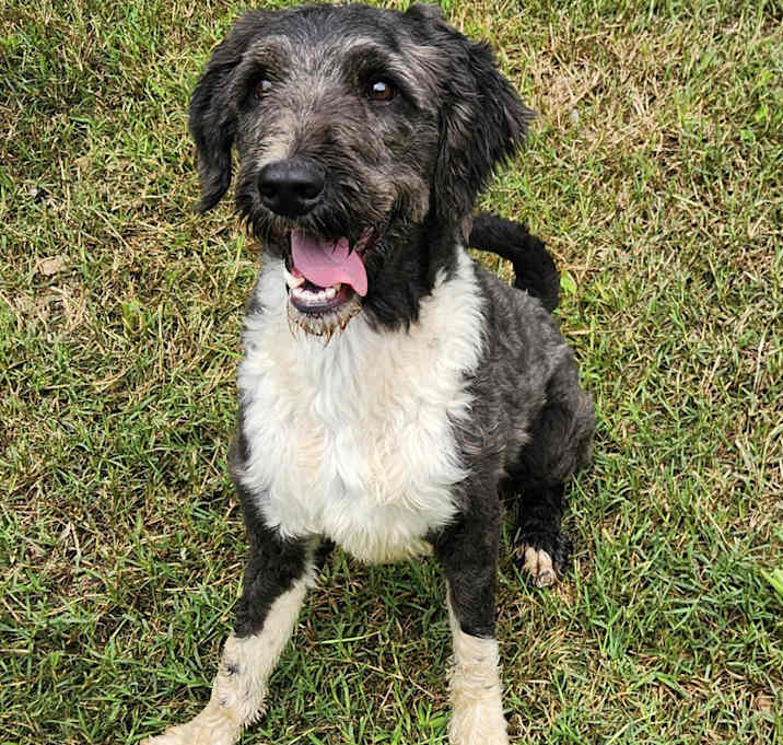 Photo of Daisy Mae
