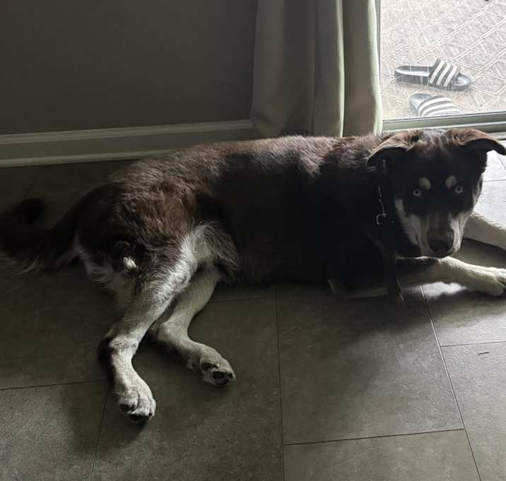 Photo of Kono