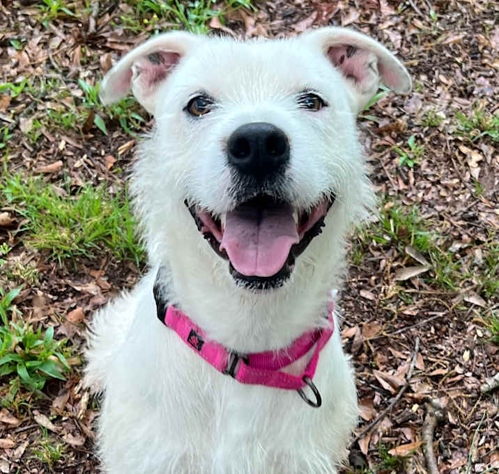 Photo of Duke