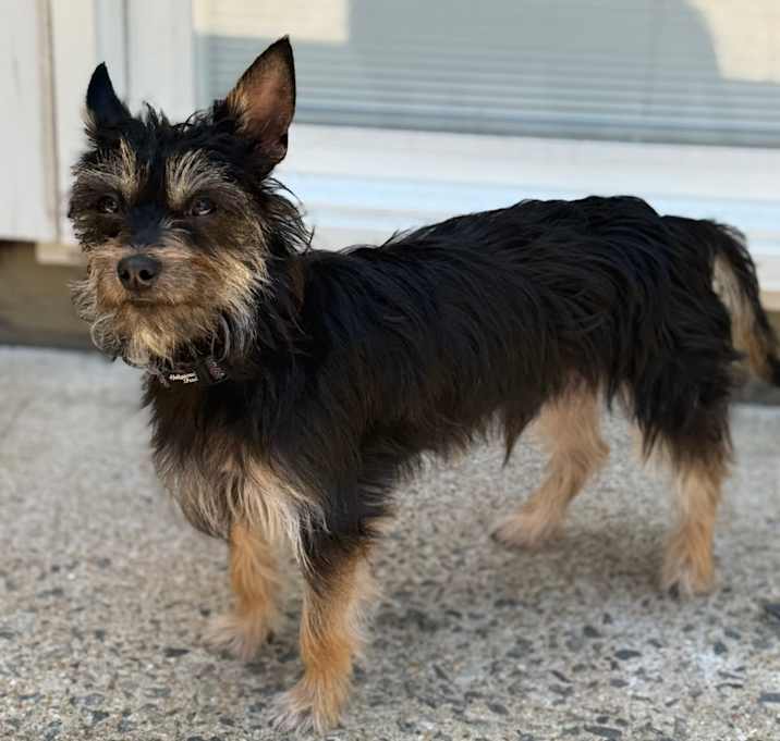 Photo of Meko