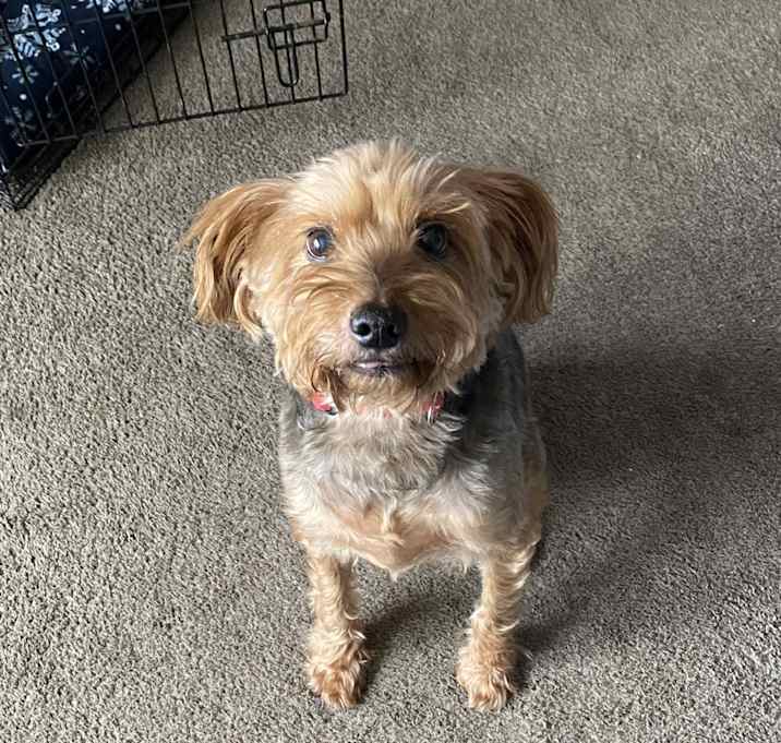 Photo of Buster