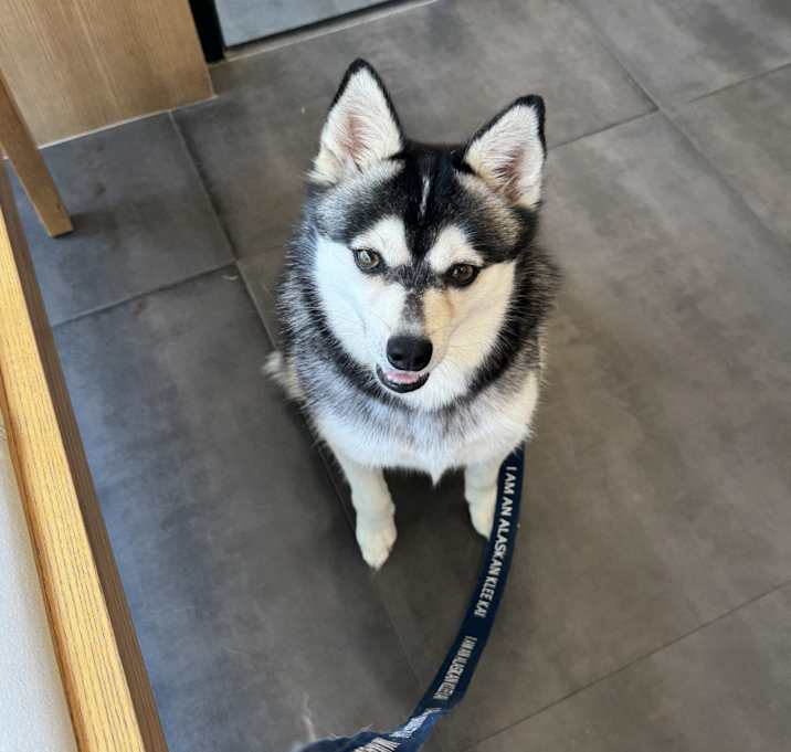 Photo of LETTY